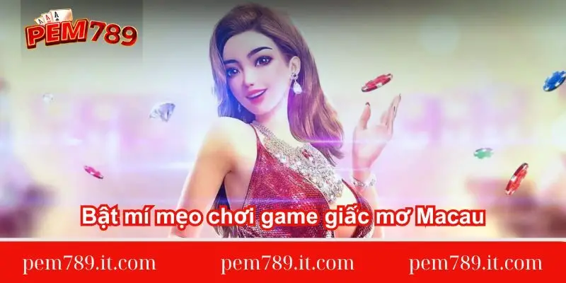 bat-mi-meo-choi-game-giac-mo-macau