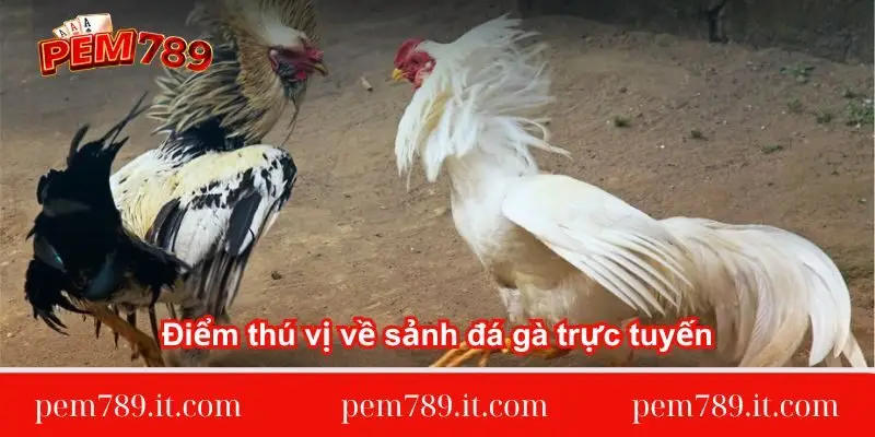 diem-thu-vi-ve-sanh-da-ga-truc-tuyen