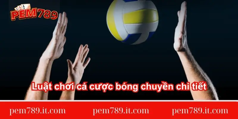 luat-choi-ca-cuoc-bong-chuyen-chi-tiet