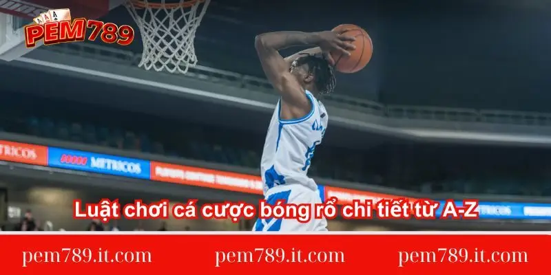 luat-choi-ca-cuoc-bong-ro-chi-tiet-tu-a-z