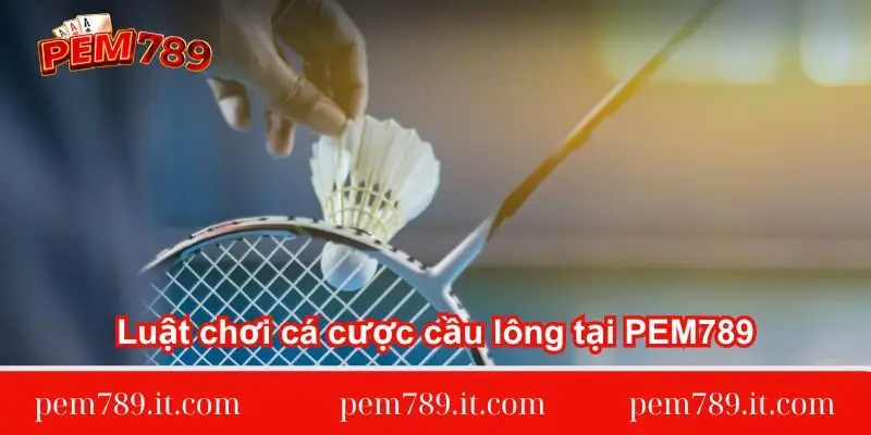 luat-choi-ca-cuoc-cau-long-tai-pem789
