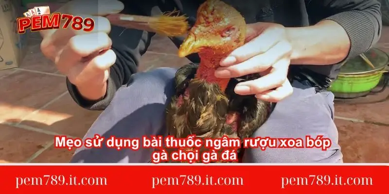 meo-su-dung-bai-thuoc-ngam-ruou-xoa-bop-ga-choi-ga-da