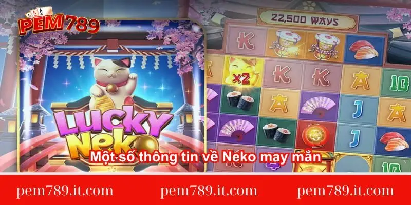 mot-so-thong-tin-ve-neko-may-man