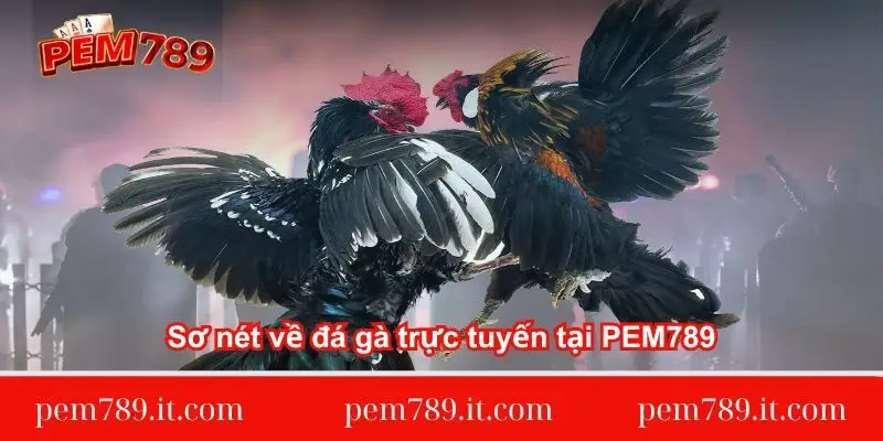 so-net-ve-da-ga-truc-tuyen-tai-pem789