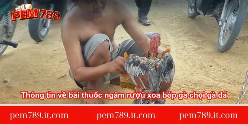 thong-tin-ve-bai-thuoc-ngam-ruou-xoa-bop-ga-choi-ga-da