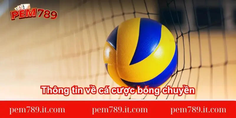 thong-tin-ve-ca-cuoc-bong-chuyen
