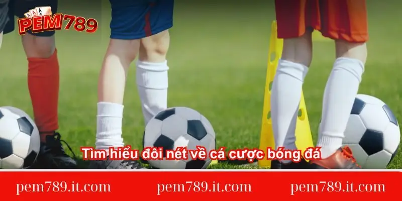 tim-hieu-doi-net-ve-ca-cuoc-bong-da