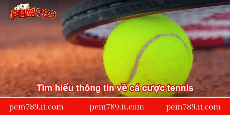 tim-hieu-thong-tin-ve-ca-cuoc-tennis