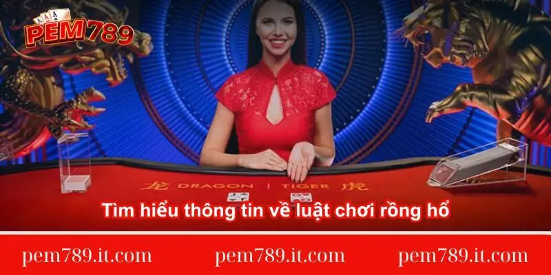 tim-hieu-thong-tin-ve-luat-choi-rong-ho