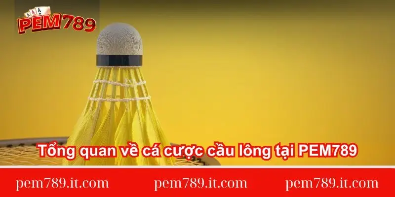 tong-quan-ve-ca-cuoc-cau-long-tai-pem789