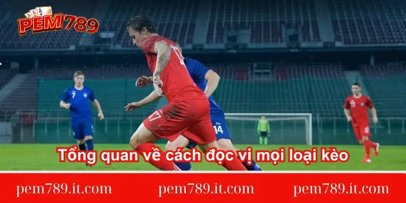 tong-quan-ve-cach-doc-vi-moi-loai-keo