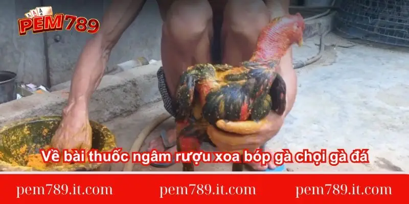 ve-bai-thuoc-ngam-ruou-xoa-bop-ga-choi-ga-da